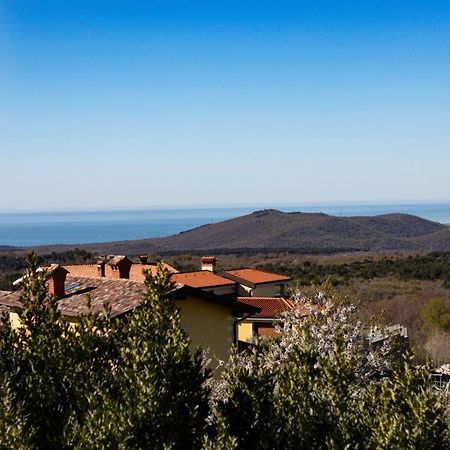 Vila Brinovka Kostanjevica na Krasu Экстерьер фото