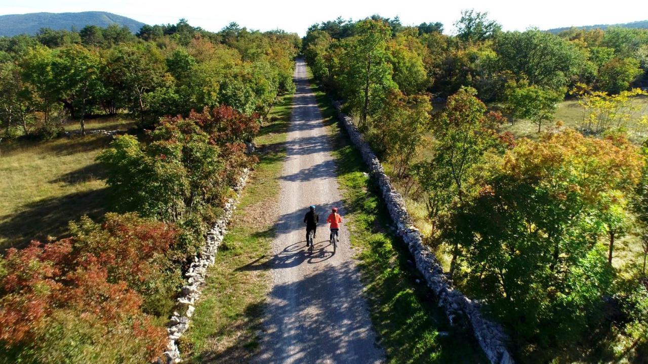 Vila Brinovka Kostanjevica na Krasu Экстерьер фото