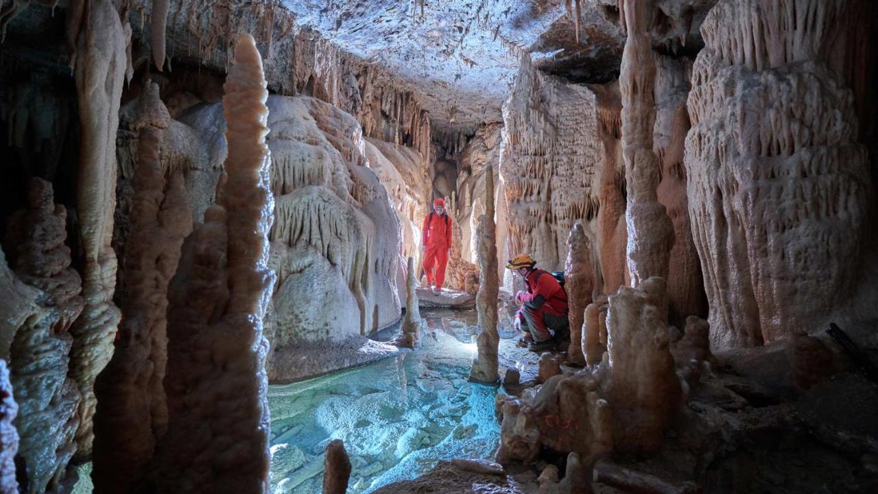 Vila Brinovka Kostanjevica na Krasu Экстерьер фото