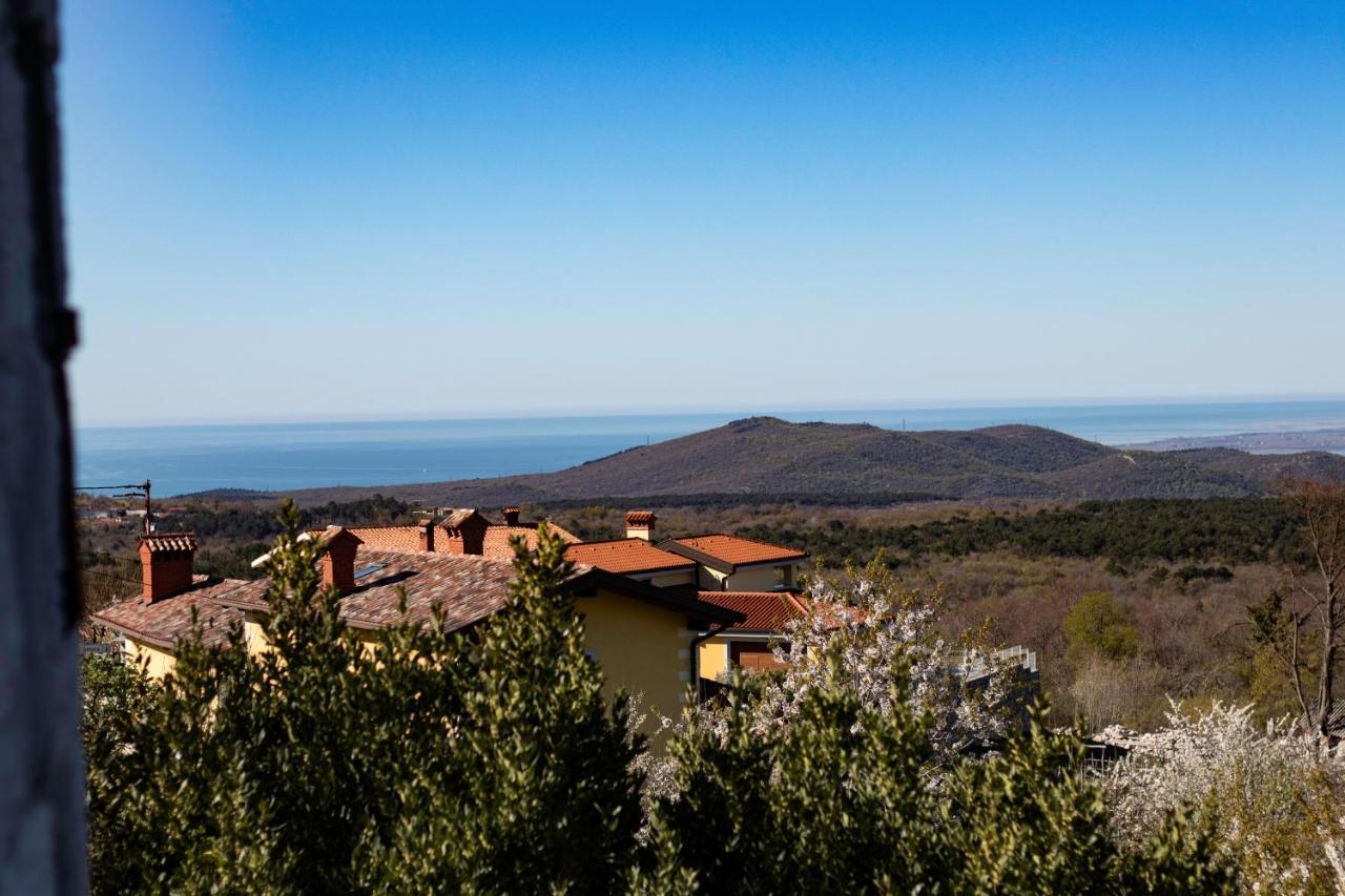 Vila Brinovka Kostanjevica na Krasu Экстерьер фото